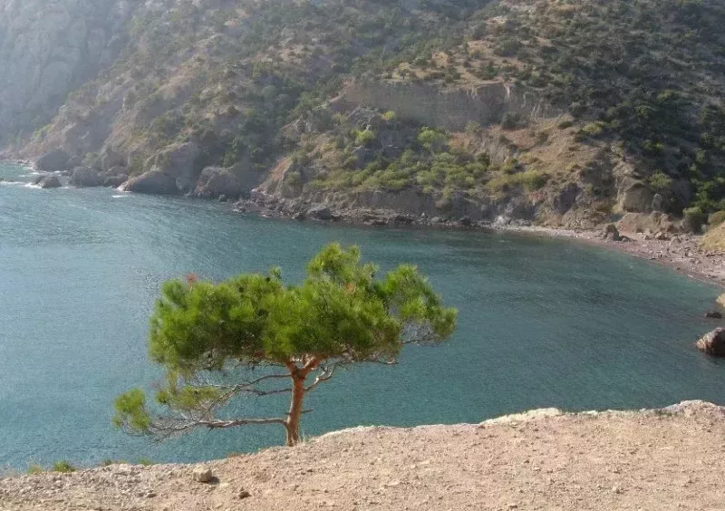 Где самое чистое море в Крыму?